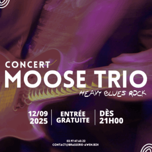 Concert rock moose trio Awen Brew Pub