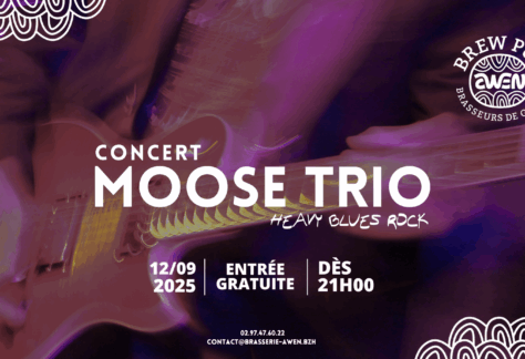Concert rock moose trio Awen Brew Pub