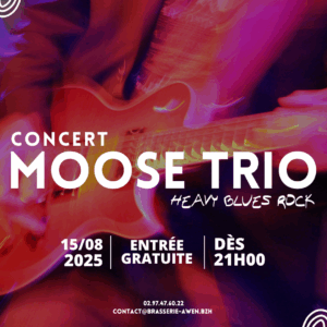 Concert rock moose trio Awen Brew Pub